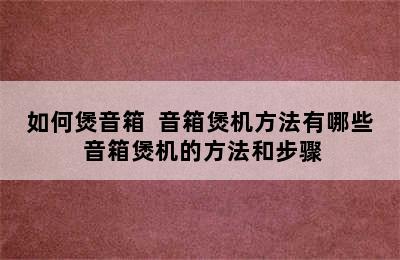 如何煲音箱  音箱煲机方法有哪些 音箱煲机的方法和步骤